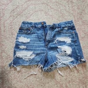 AE Curvy Shorts